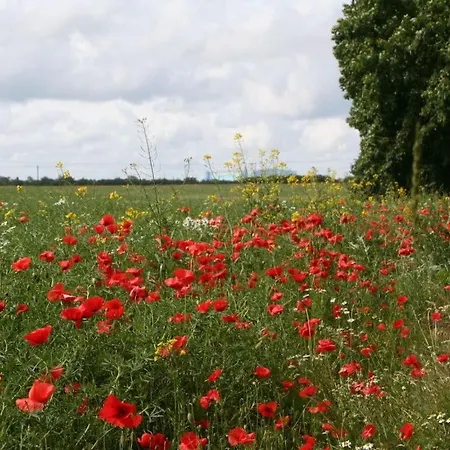 Appartement Strandhus Haus 3 *