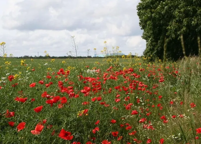 Apartment Strandhus Haus 3 *